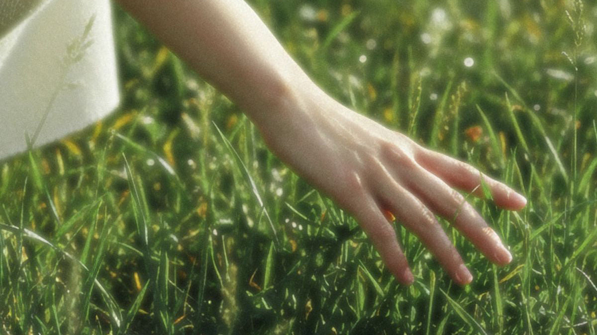 What Does It Mean to Be Rooted in Your Faith?